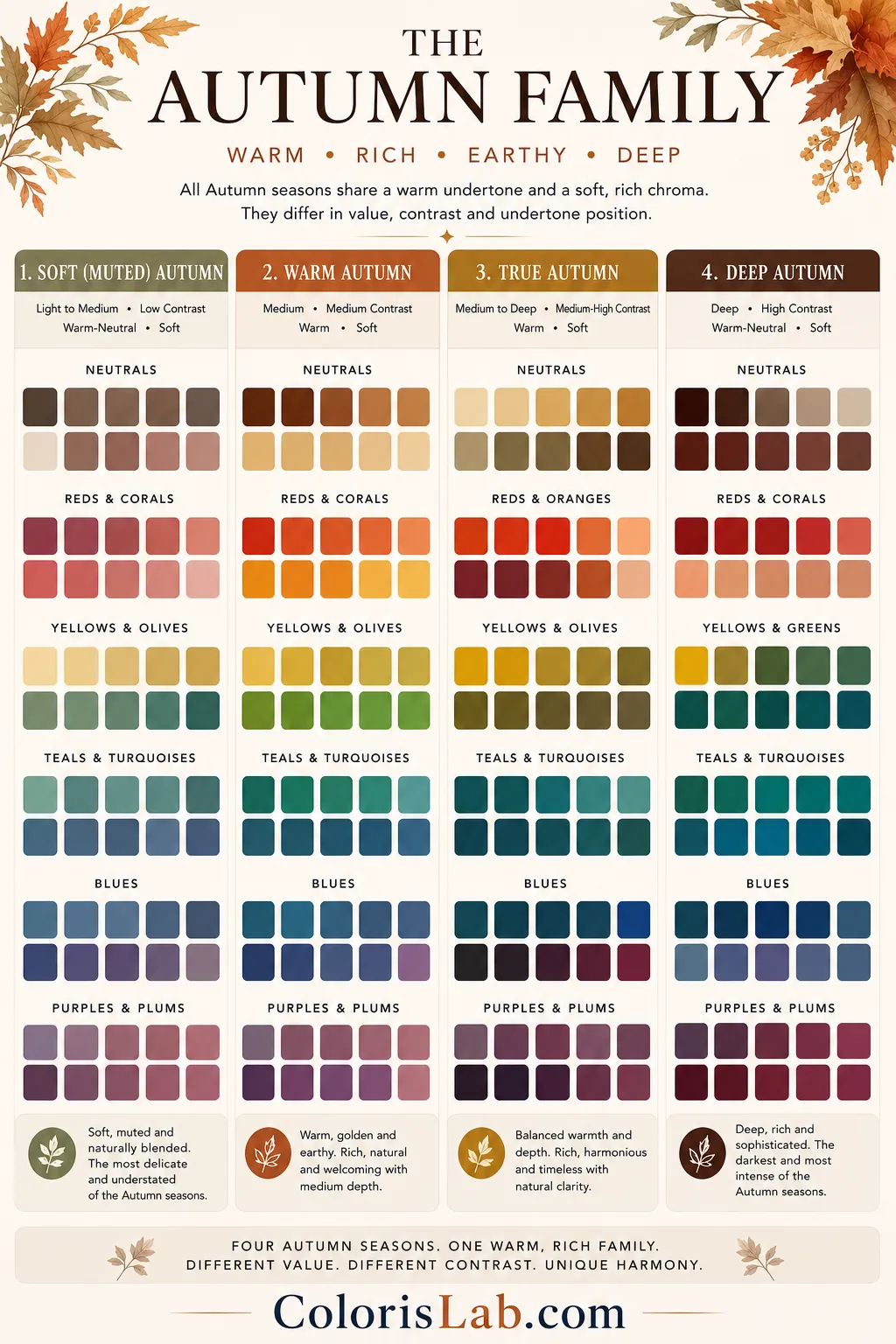 Autumn color analysis palette showing Soft Autumn, True Autumn, Warm Autumn, and Deep Autumn color swatches