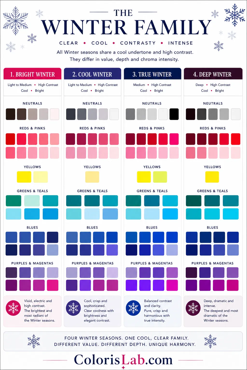 Winter color analysis palette showing Bright Winter, True Winter, Cool Winter, and Deep Winter color swatches